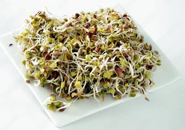 Radish_Seeds_-_200_gms_For_Home_Garden_(Pack_Of_1)_First_Harvest_Within_25–40_Days