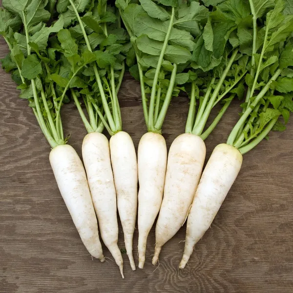 Radish_Seeds_-_200_gms_For_Home_Garden_(Pack_Of_1)_First_Harvest_Within_25–40_Days