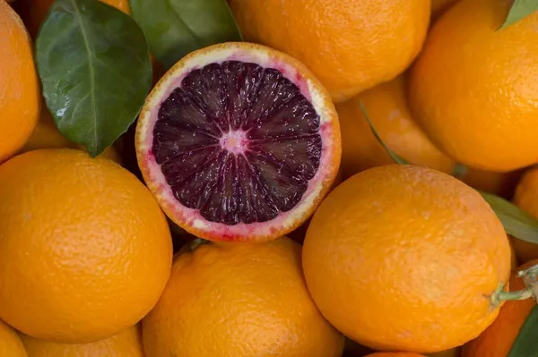 Refrashing_Blood_Orange_Healthy_Benefited_Fruit_Plant_&_Tree_(1.5-3.5_Ft_Height)_Pack_Of_1