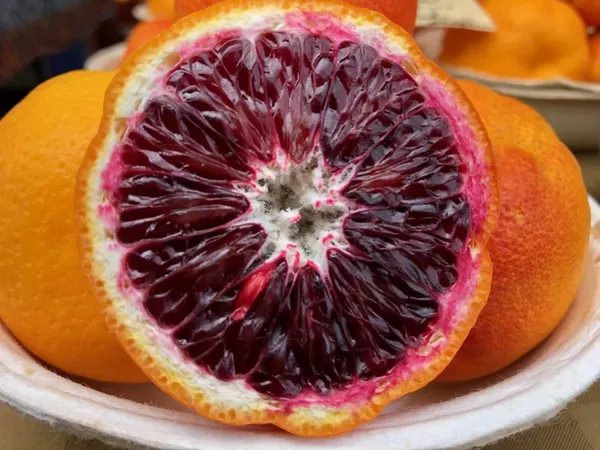 Refrashing_Blood_Orange_Healthy_Benefited_Fruit_Plant_&_Tree_(1.5-3.5_Ft_Height)_Pack_Of_1