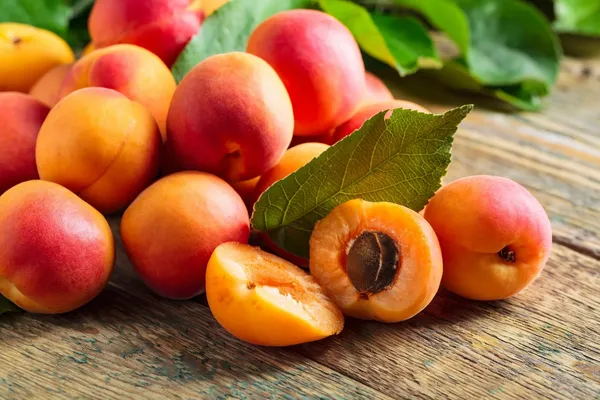 Seedling_Apricot_Live_Fruit_Plant&_Tree_(1.5-3.5_Ft_Height)_For_Home_Garden_Well_Watered_Hybrid_Apricot_Plant_(Pack_Of_1)