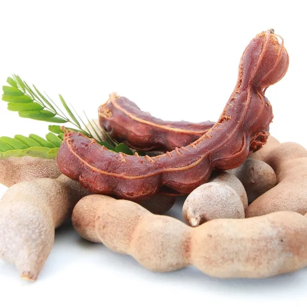 Sweet_&_Sour_Tamarind_Delicious_Fruit_Plant_&_Tree_For_Home_Garden_(1.5-3.5_Ft_Height)_Pack_Of_1