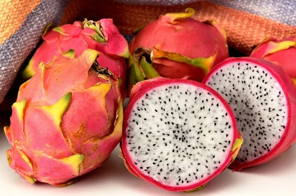 Well_Condition_White,Pink,Yellow_Dragon_Fruit_Plant_(1.5-2_Ft_Height)_Combo_Pack_Of_3