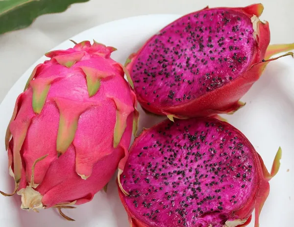 Well_Condition_White,Pink,Yellow_Dragon_Fruit_Plant_(1.5-2_Ft_Height)_Combo_Pack_Of_3