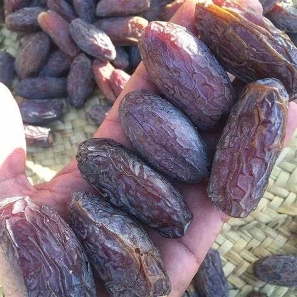 Arabian_Dates_Plam/Ajwa_Khajoor_Healthy_Fruit_Plant,_Pack_Of_1