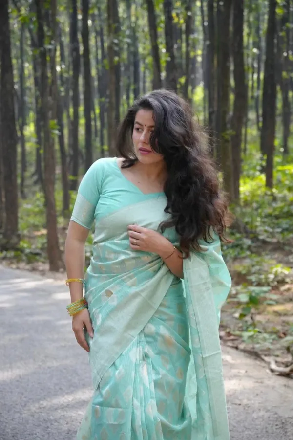 Premium_Banarasi_Silk_Chanderi_Saree