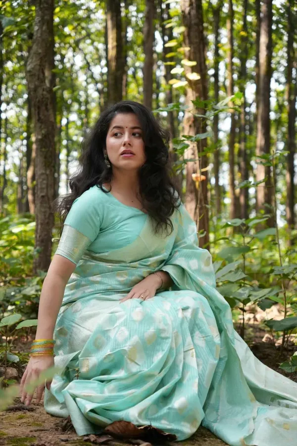 Premium_Banarasi_Silk_Chanderi_Saree