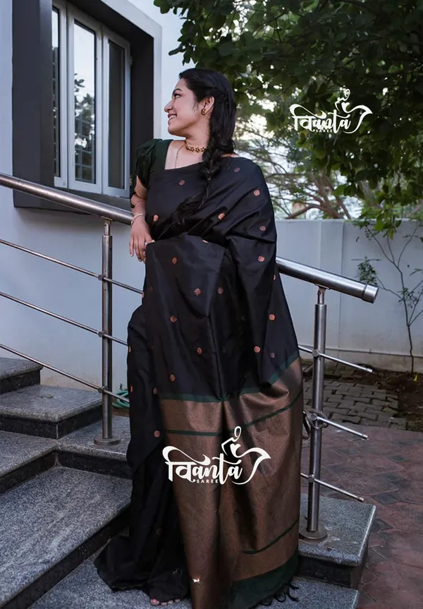 Black_Woven_Kanjivaram_Banarasi_Jacquard_Sari