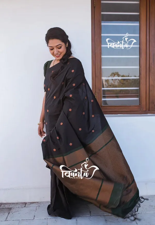 Black_Woven_Kanjivaram_Banarasi_Jacquard_Sari