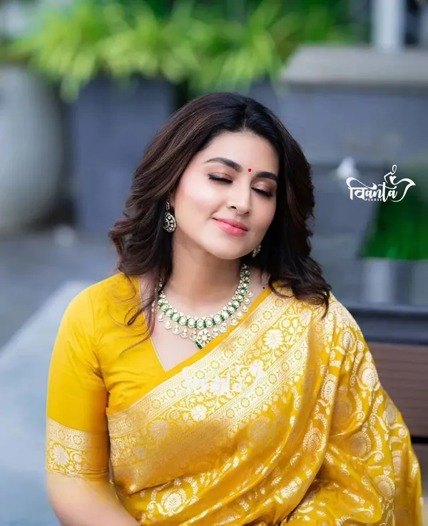 Woven_Kanjivaram_,_Banarasi_Jacquard_Saree