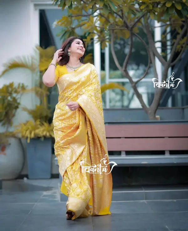 Woven_Kanjivaram_,_Banarasi_Jacquard_Saree