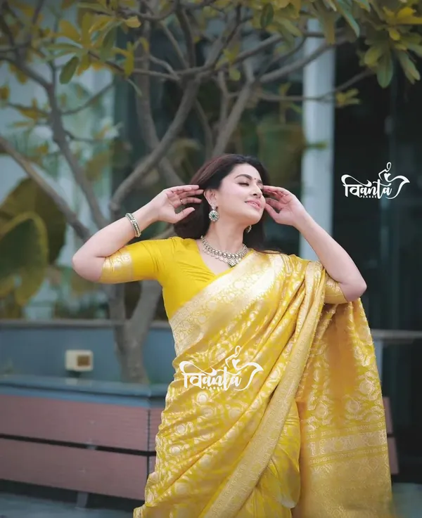 Woven_Kanjivaram_,_Banarasi_Jacquard_Saree