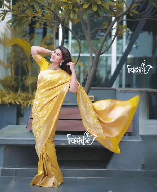 Woven_Kanjivaram_,_Banarasi_Jacquard_Saree