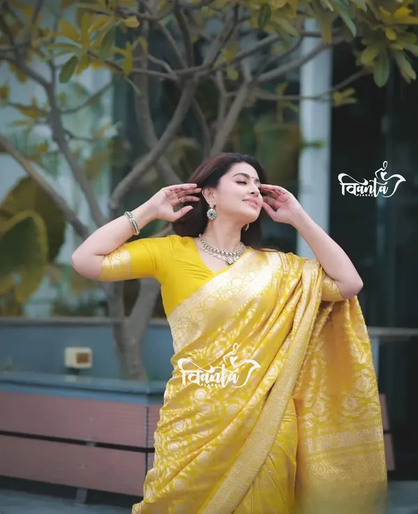 Woven_Kanjivaram_,_Banarasi_Jacquard_Saree
