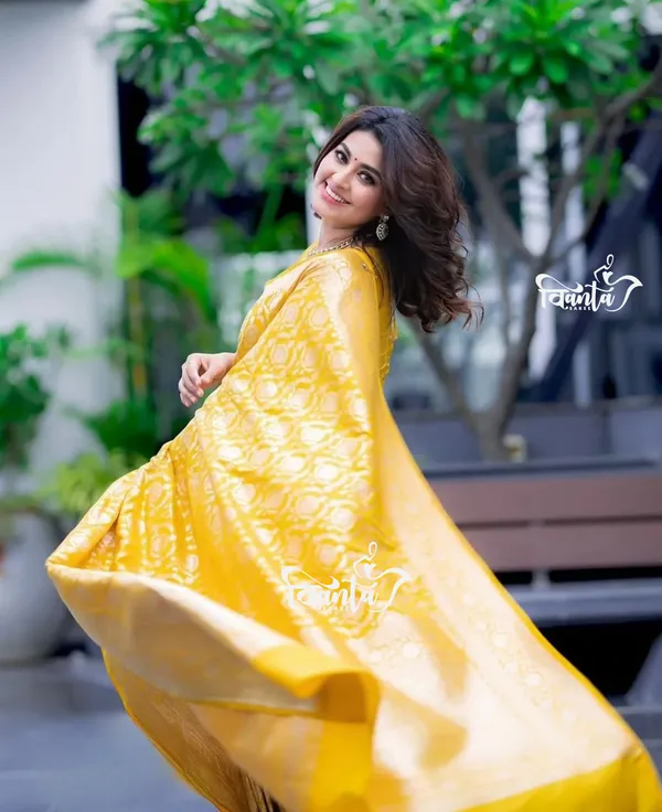 Woven_Kanjivaram_,_Banarasi_Jacquard_Saree