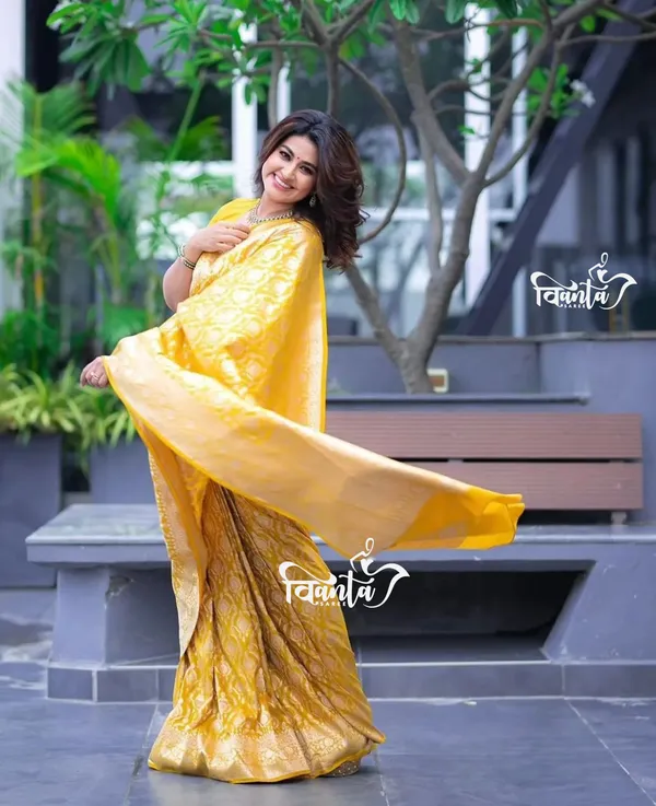 Woven_Kanjivaram_,_Banarasi_Jacquard_Saree