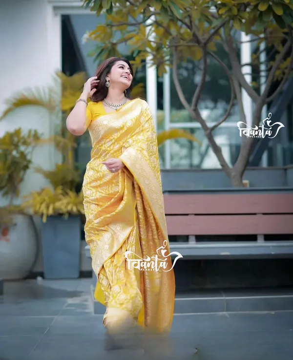 Woven_Kanjivaram_,_Banarasi_Jacquard_Saree