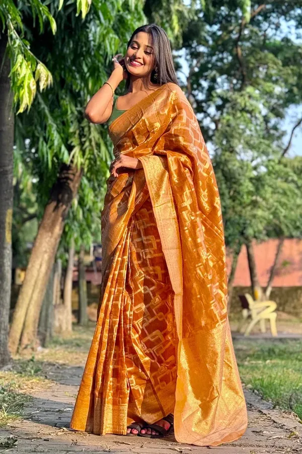 Premium_Banarasi_Silk_Chanderi_Saree