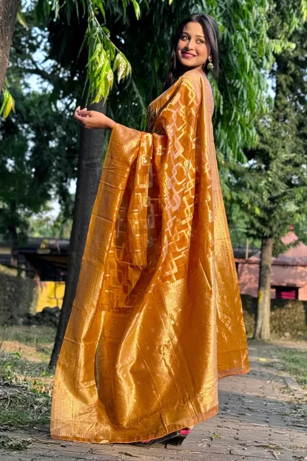 Premium_Banarasi_Silk_Chanderi_Saree