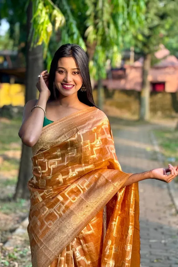 Premium_Banarasi_Silk_Chanderi_Saree