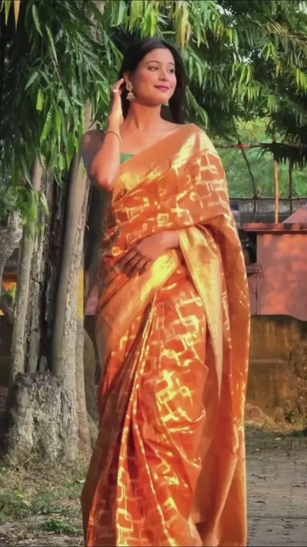 Premium_Banarasi_Silk_Chanderi_Saree