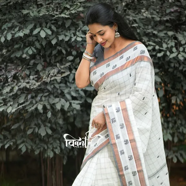 Woven_Kanjivaram_Jacquard_Banarasi_Saree