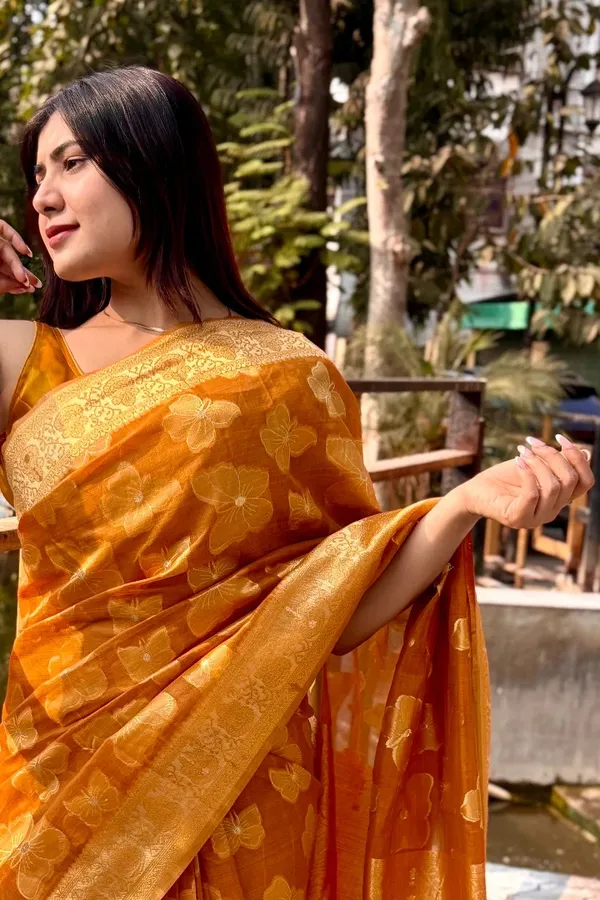 Premium_Banarasi_Silk_Chanderi_Saree