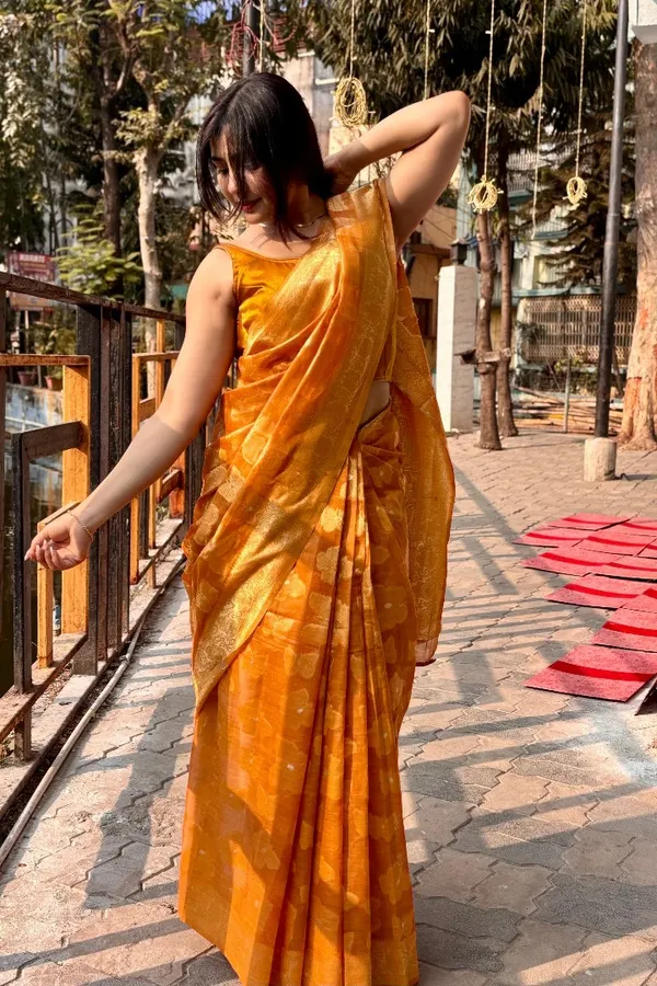 Premium_Banarasi_Silk_Chanderi_Saree