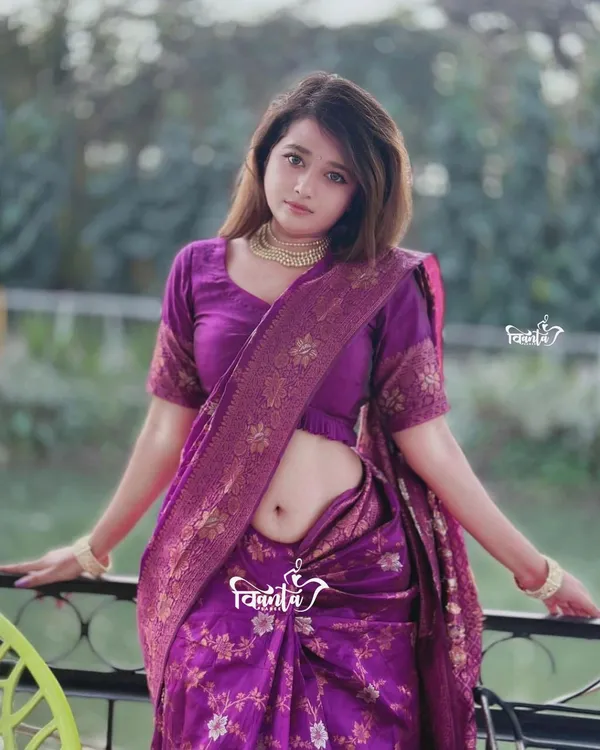 Woven_Kanjivaram_,_Banarasi_Jacquard_Saree