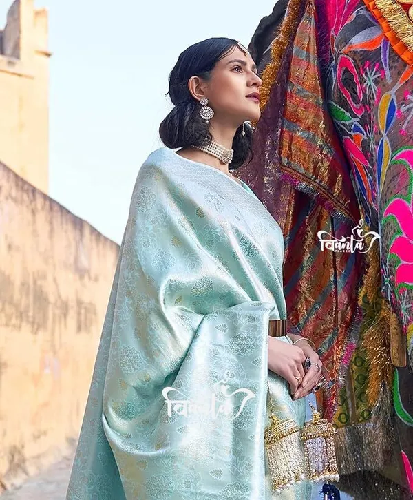Light_Blue_Woven_Kanjivaram_Banarasi_Jacquard_Sari