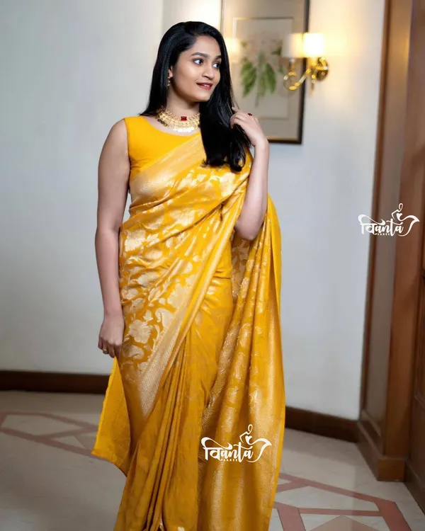 Woven_Kanjivaram_Jacquard_Banarasi_Saree