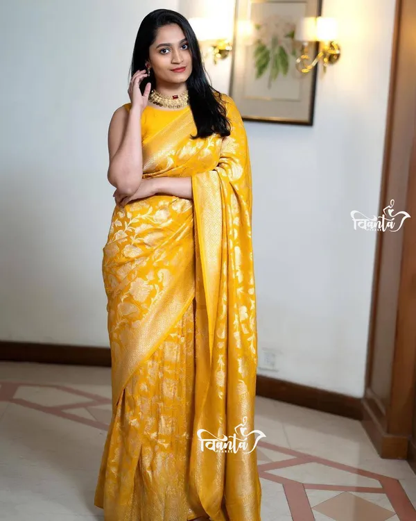 Woven_Kanjivaram_Jacquard_Banarasi_Saree