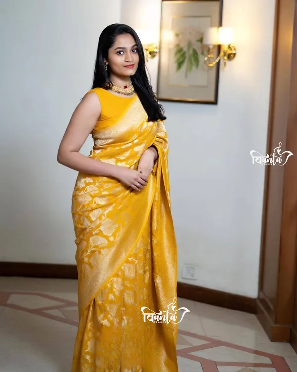 Woven_Kanjivaram_Jacquard_Banarasi_Saree