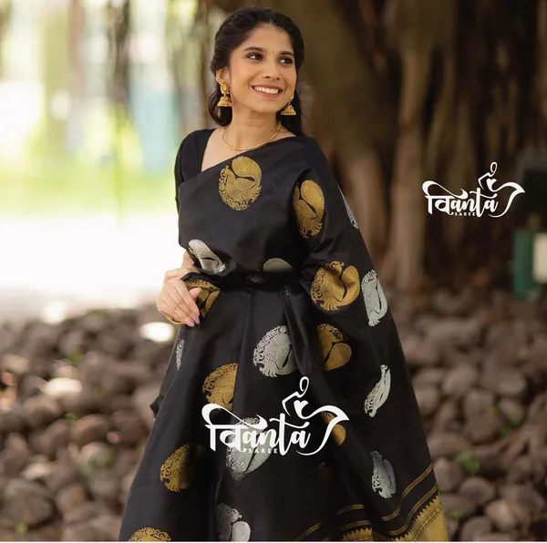 Black_Woven_Kanjivaram_Banarasi_Jacquard_Sari