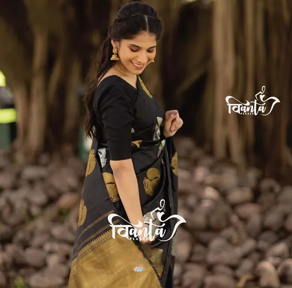 Black_Woven_Kanjivaram_Banarasi_Jacquard_Sari