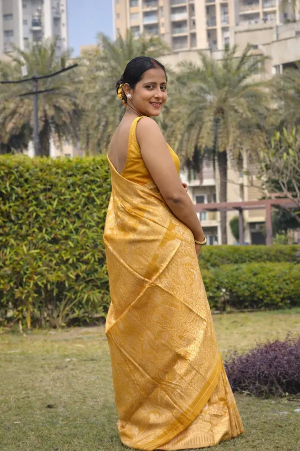 Premium_Banarasi_Silk_Chanderi_Saree