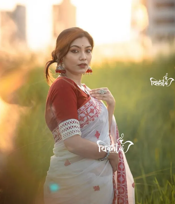 Woven_Kanjivaram_,_Banarasi_Jacquard_Saree