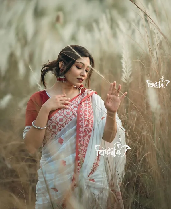 Woven_Kanjivaram_,_Banarasi_Jacquard_Saree