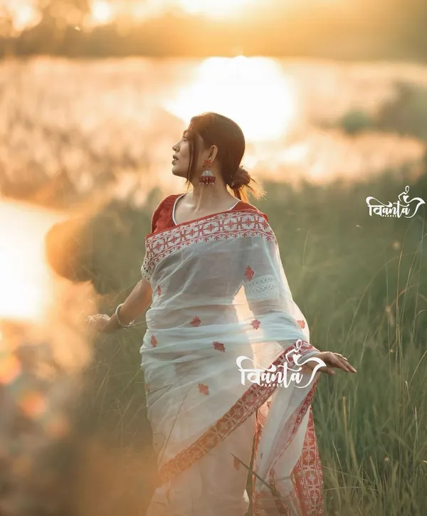 Woven_Kanjivaram_,_Banarasi_Jacquard_Saree
