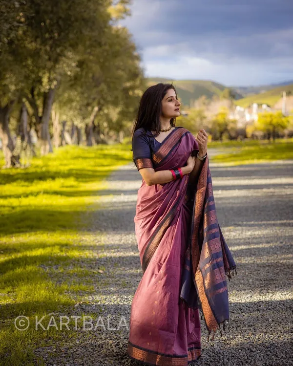 Banarasi_Soft_Silk_Saree