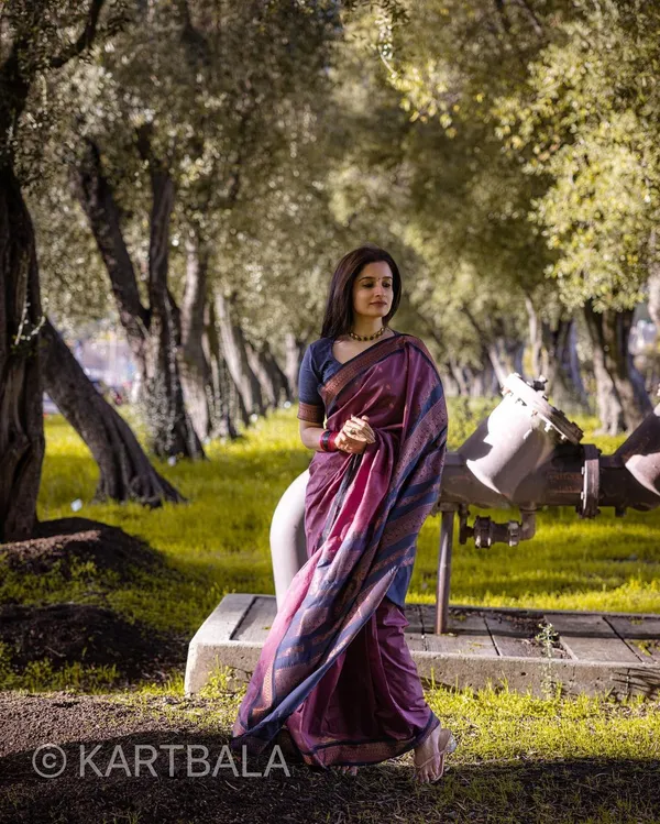 Banarasi_Soft_Silk_Saree