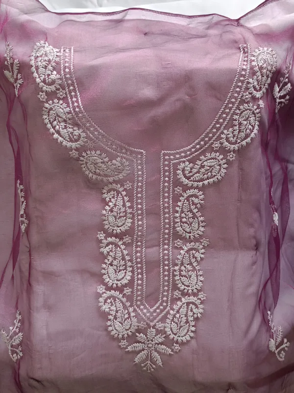 Light_Purple_Organza_(Poly)__Suit_with_White_Aster_Embroidery_&_Net_Dupatta