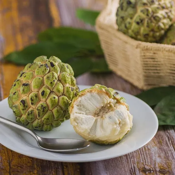 Custard_Apple_Hybrid_Plant_I_Grafted_Plant__(1.5-2_Feet_Height_Pack_Of_1)
