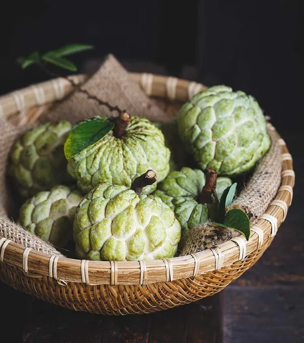 Custard_Apple_Hybrid_Plant_I_Grafted_Plant__(1.5-2_Feet_Height_Pack_Of_1)