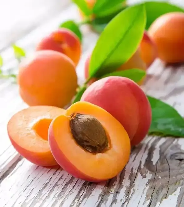 Apricot_and_Lapins_Cherry_Combo_Pack_of_2
