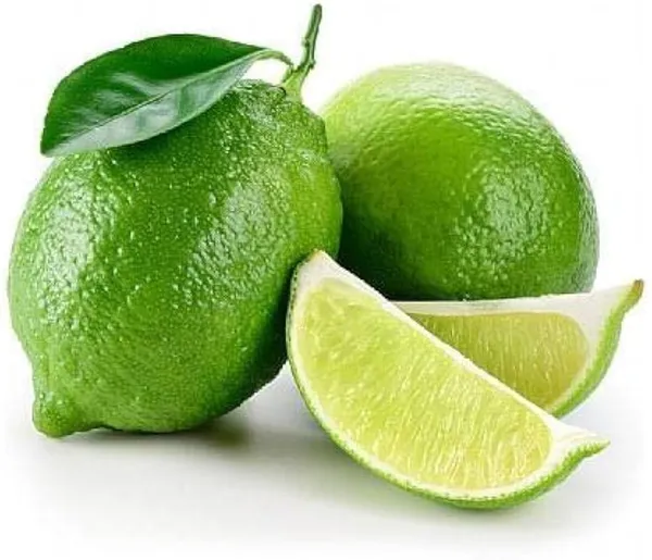Gandharaj_Lemon_Plant_|_Hybrid_Grafted_Plant_(1.5-3_Feet_Height_Pack_Of_1)