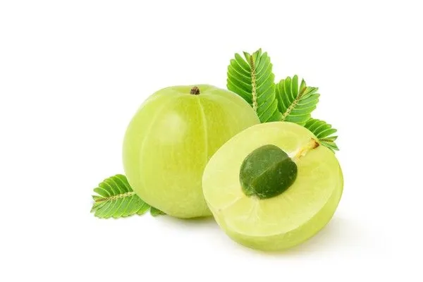 Hybrid_Green_Amla_Grafted_Plant_(Pack_Of_1)