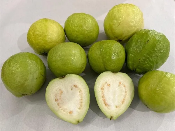 Hybrid_Thai-7_Guava_Plant__(Pack_Of_1)
