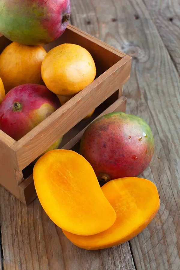 Hybrid_Totapuri_Mango_Grafting_Mango__(Pack_Of_1)