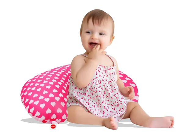 Rosy_Baby_Feeding_Pillow_Bedding_Set_with_Mosquito_net_and_Sleeping_Bag_Combo_(Pink)